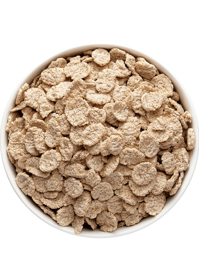 Vrac - Flakes épeautre 4kg