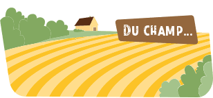 Du champ