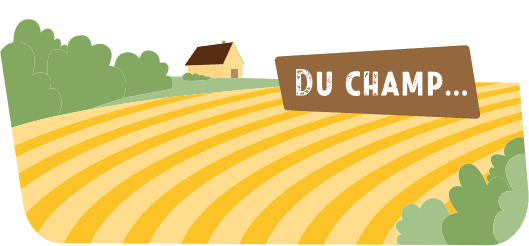 Du champ